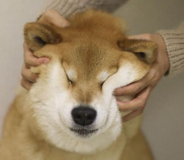 388ae7d6.jpg