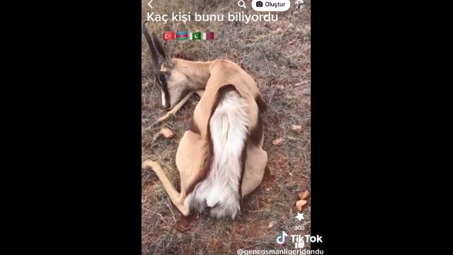 ���Х�ʤʤɤ���©���륹�ץ�󥰥ܥå�����ʳ�������������Ӥ������Ƶ�Ω�������äʹ������Ĥ餷��