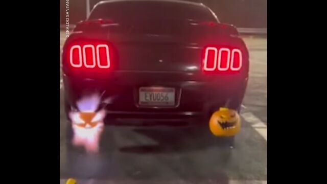 �ե����ɡ��ޥ����󥰤Υޥե顼�˥ϥ������󤫤ܤ�������夷����̤��ʹ�����