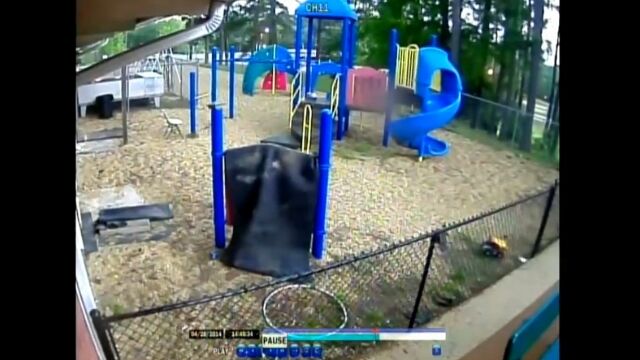 【飛ぶ犬あり】のどかな公園が大自然の猛威に蹂躙される、教会の防犯カメラがとらえた映像