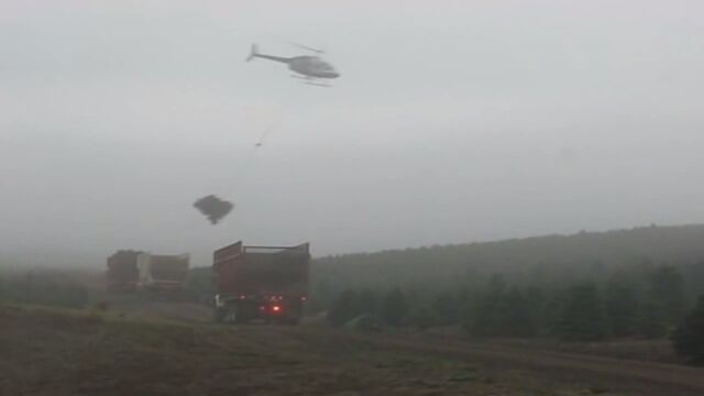 ���ꥹ�ޥ��ĥ꡼����Ϥ���إ�Υѥ����åȤ��ץ��ե��å���ʥ�᤮��