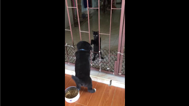 ���ˤҤä����ä��Ҹ���������ǭ���İ���2ɤ�Τ���꤬���Фޤ���