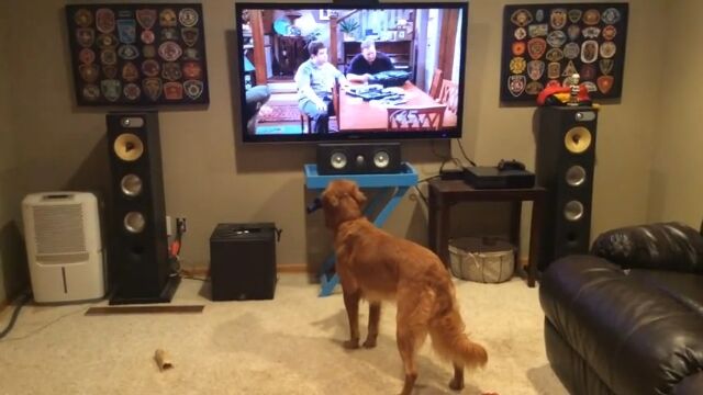 ����ե��繥�����ƥ�Ӥ�NFL��Ѥ��Ѥ�ä���ü�ˡ�����ķ�ͤ����Ӥ��븤�Υ��硼������