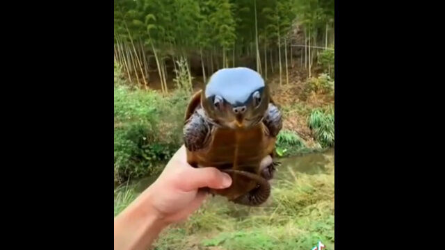 ����̾���̤��Ƭ���ǥ������������ߤ����ʥ��ᡢ���������ޥ���