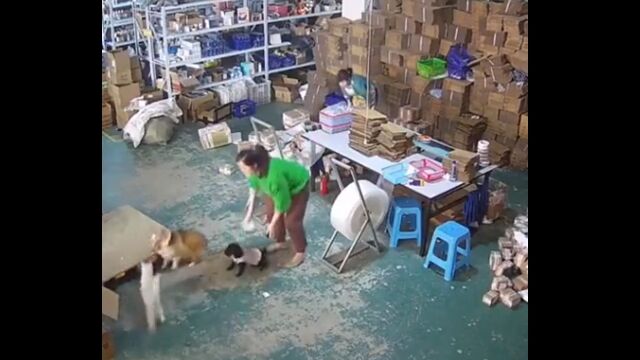 �����ʸ��򤤤��᤿����ǭ����˥��åĥ��ܤ���