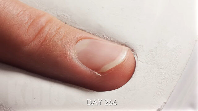 �ޤ򻣱Ƥ�³����365����14�ä˶Ž̤����������ץ�������³�����ޤ򸫤�Τ�����äȵ���������