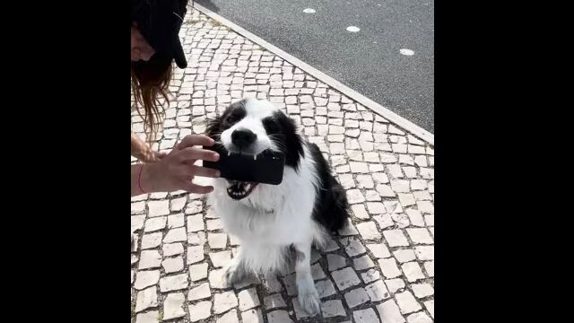 �������ޥۤ���äƤ��Ƥ����褦�˷�������ι����Ρּ̿����äƤ����������������