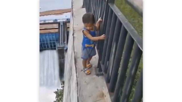 ž�������಼�˿��õդ��ޡ����ޤ�ˤⶲ�����������⤯�Ļ��α����ȡ����μ�������