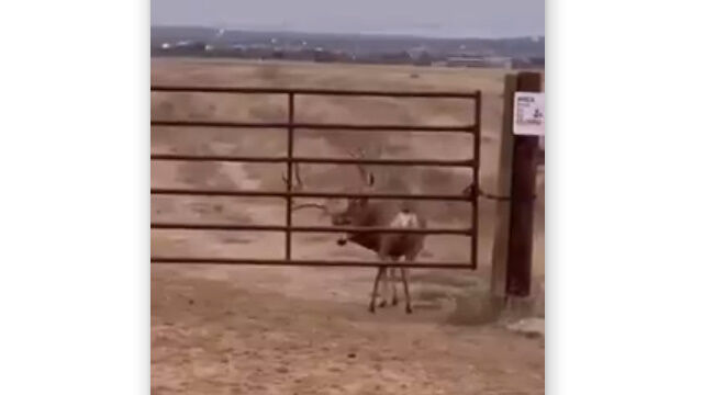 �����ϼ�ʬ�γѤη����İ����Ƥ���Τ�������Ǥ���ִ�