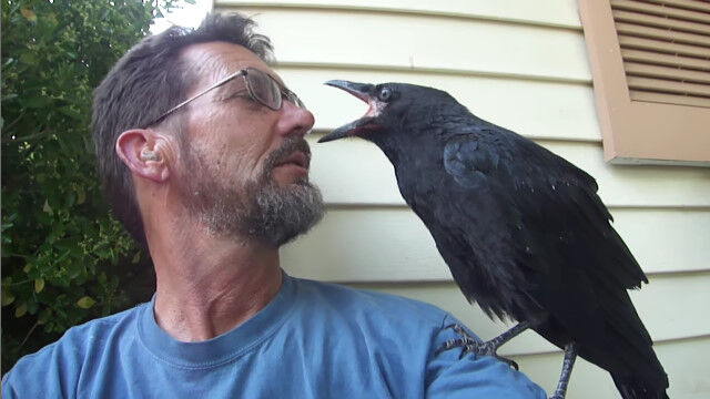 �ͤ��ݸ����������饹��������Τ�������ȤΥ����㥤����äפ�򸫤��Ĥ���