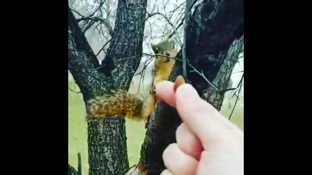 ̵Ťˤ⡢ꥹ˥ʥåĤ򤢤褦Ȥ