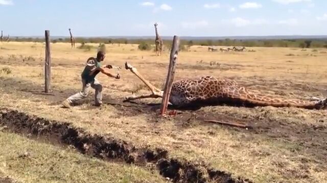 �ե��󥹤�­�����ޤäƤ��ޤä�������ݤ��ư���ʤ��Ȥ�������������������