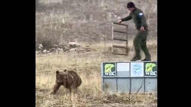 檻から解き放たれたクマに襲われかける恐ろしい瞬間