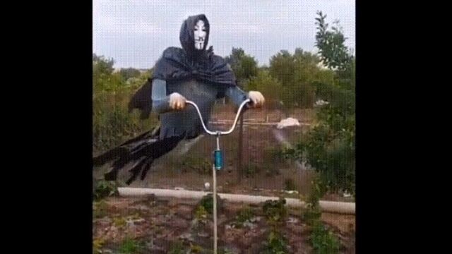 ���饹�ɤ������ʹ֤ⶲ�ݤ�Ф������ʥ�Ф��ƻ���