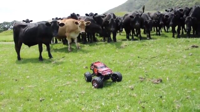 �饸���󥫡������ˤʤ뤱���ݤ����Ǥ��äѤ굤�ˤʤ�����󤿤�