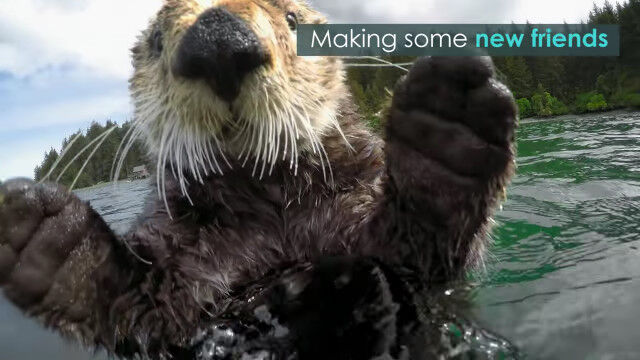 ��å����ä���Υ��ѥ�����顢��å���������������Υ�ǻ���