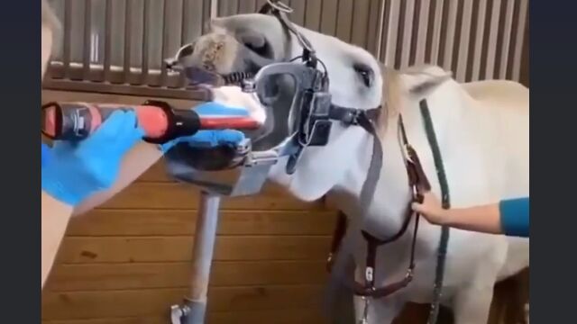 �Ϥ�ְ㤤�ʤ�����Ԥ�������ʤ�������ʤ��Ȼפ蘆�����᤭����