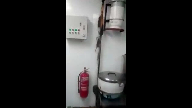 ���˥�Ȱ�ä�ޯ��ˤʤ�ʤ����ǲ�֥�ߡ��Τ��������쥹�ȥ��׾��֤ο�˼