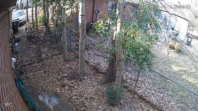 �뤬��ʪ��Ļ�򽱤��ִ֤����ȥ���餬��������