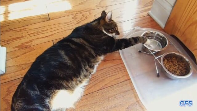 �ޤȤ�˿�����Τ����ݤ����������������ʤ������ߤ����դ�ǭ����