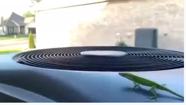 �ʹ֤κ�ä������Τ����ǡ��ޤ餺���������Ǥ��ޤä��ȥ���