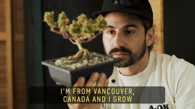 ���ܤ������Ф˺��ݤǤ��ʤ��ߺϡ����Ϥ��Ƶۤ������ߺϤȤ��Ƥ�ڤ����������