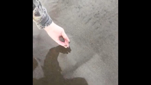 �ӡ����˹ߤ����ȵޤ��Ǻ���������äƤ������ʥۥꥬ�ˤ��İ���