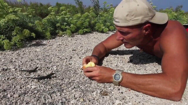 �����ʥȥ��������äѤ���äƤ��롪��󥴤򥨥��˥ȥ����򽸤���ˤ����ޤ���