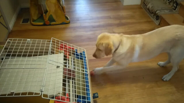 �־�꤯�ץ쥤����ȥ���Ĥ���館�븤�ѥ�����פ����򤷤����븤������