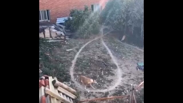 ʤ롼Ȥ򤰤뤰⤯ٲȤθäƻ