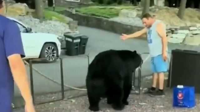 野生のクマに対して、紳士的にご退出を願う男性