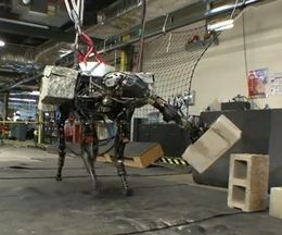 ����Big Dog��Ƭ���Ĥ�������Τ褦�ʥѥ�ե�ʥ�����ǥ֥��å����ꤲ���Ф���­��ԥ��ܥåȡ�Big Dog