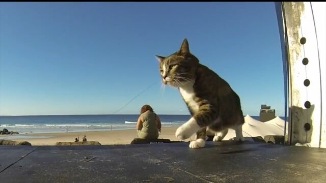 �ʹ֤ǤϤʤ�ǭ���ȴ����ѥ륯�������