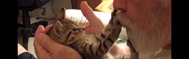 �ҥ��Τ��줵���Ǯ������롢�İ��������ǭ