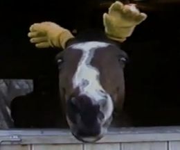 Ϥμ˼ޤ碌Ȥʤä򤤴