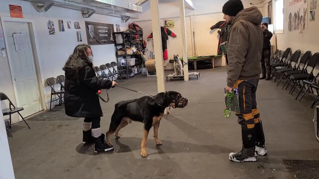 よく吠える大型犬を、わずかな時間でおとなしくさせるトレーナーの手腕が凄い