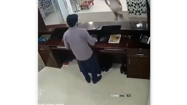 ­�����Τ��ˤ���Ϯ��Ϣ³���å����ˤ������뤪�Ф���