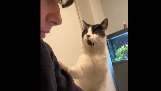 ����ɽ��������ä��Ѥ�äƤ�ǭ���֥��줿���Τ��Ĥ�ΰ����פߤ����ǹ���