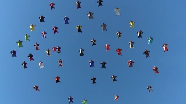 ウィングスーツで編隊飛行!総勢61人のスカイダイバーが世界記録を更新