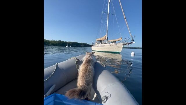 �������ˤ��ε�Υ��̵�㤹����ǭ����