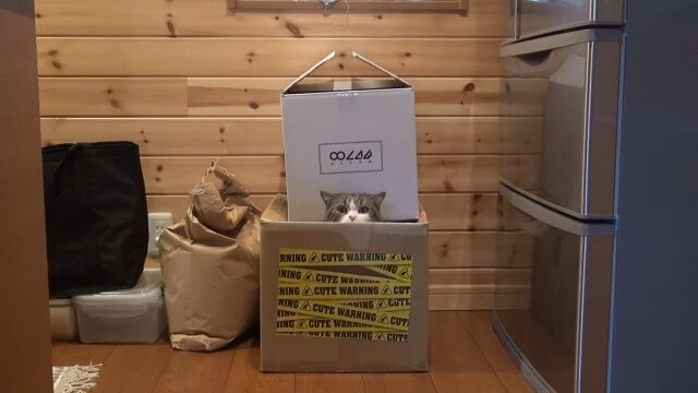 �������Ѥ�餺Ȣ���繥������ä����äƳڤ���ǭ�Τޤ�