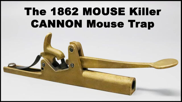 �ͥ��ߤ������������פΡ�19�����˺��줿�ͥ�����ꡣ��ץꥫ��ȤäƤ��θ��̤������ǧ�����¸�����