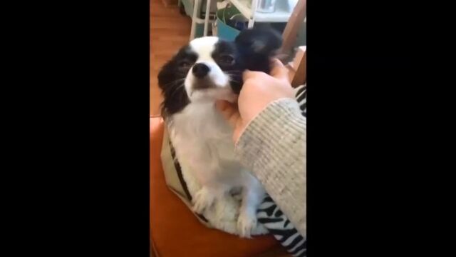 �֤�ä���Ǥơġġץ����祳���礹��Τ�ߤ��Ⱥ�¥���븤