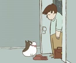 ��줭�ä�������Τ���˴�ĥ�븭���������������˥᡼�����Omelette