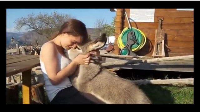 ���Ф����繥�����ȤФ���˲����ޤ�����Ф��֤���󤬤��襤��