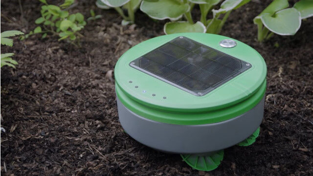 ルンバみたいに家庭菜園をうろつき、雑草を刈ってくれるロボット