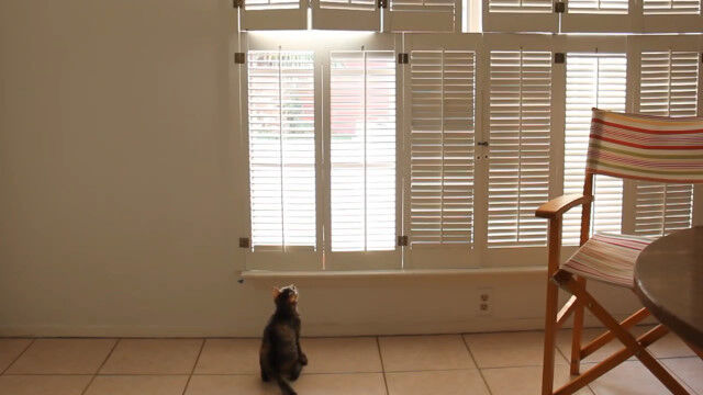 ̵ʾˤ̤ߤ֤Ƥ⤷ääƤǭ