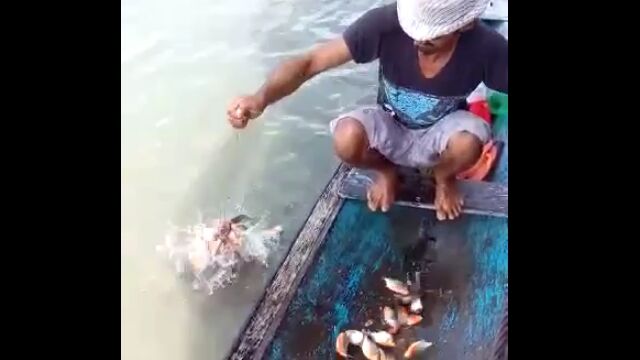 入れ食い状態だけどちょっと怖いピラニア釣り