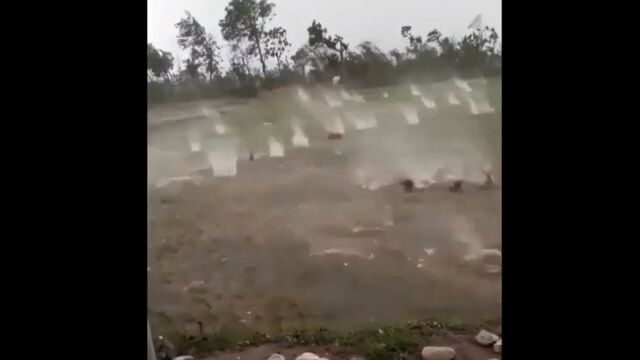 ��֤��𻤬�Ĥ�ܤ˹ߤ��������Ϥ������