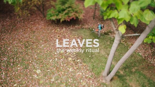 ���˻���Ф����̤�����դ�꡼�ե֥���Ǥ��ݽ�������󤷱���������������